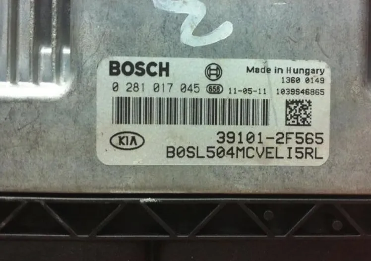 0281017045 39101-2F565 HUNDAYI DIZEL MOTOR BEYNi