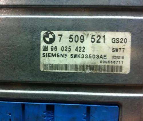 7509521 96025422 5WK33503AE – BMW motor beyni