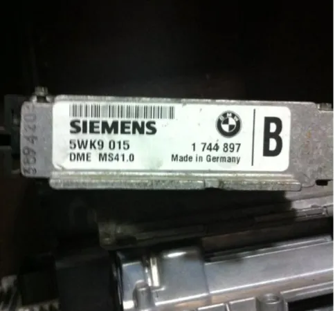 ms41.0 1744897 5wk9015 – BMW motor beyni
